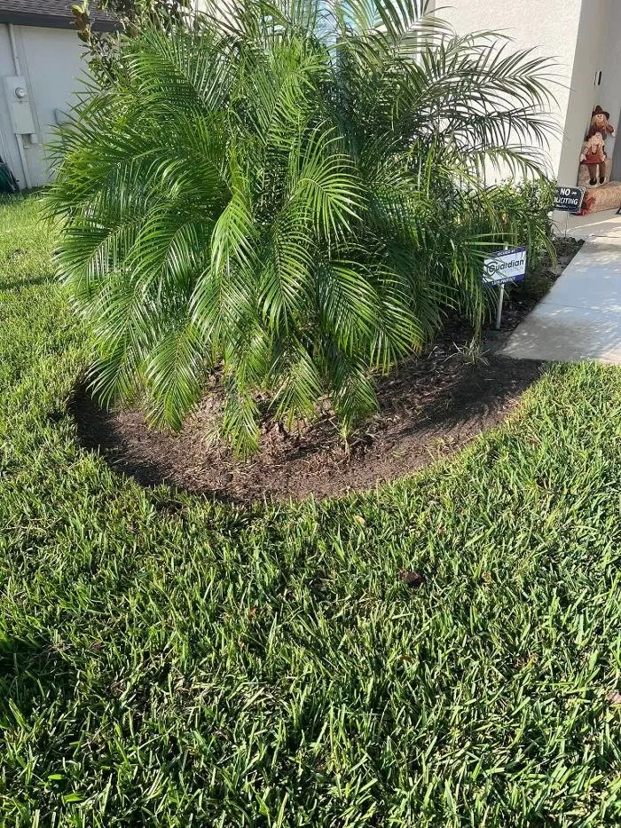 Trusted yard cleanup service for beautiful yards across Winter Haven, FL - Rountree's Lawn Maintenance