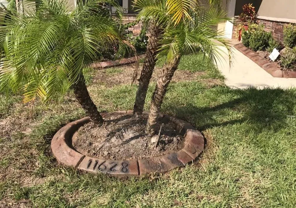 Affordable landscaping services in Winter Haven, FL - Rountree's Lawn Maintenance