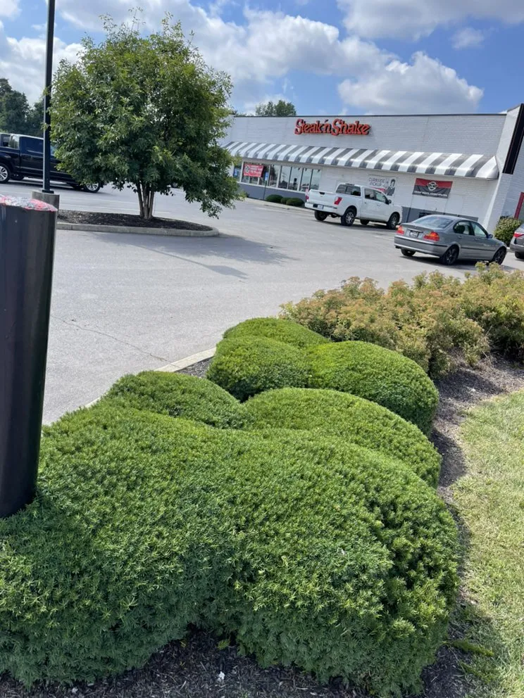 Affordable residential landscaping experts serving Walton, KY - Rouse Lawncare