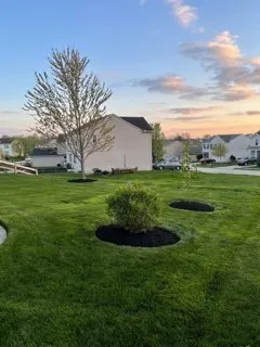 Affordable lawn care service experts serving Walton, KY - Rouse Lawncare