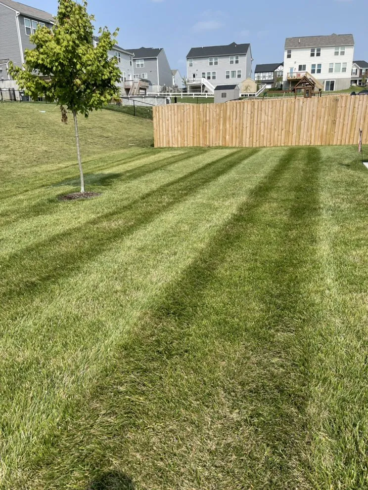 Custom lawn care service for residential properties across Walton, KY - Rouse Lawncare