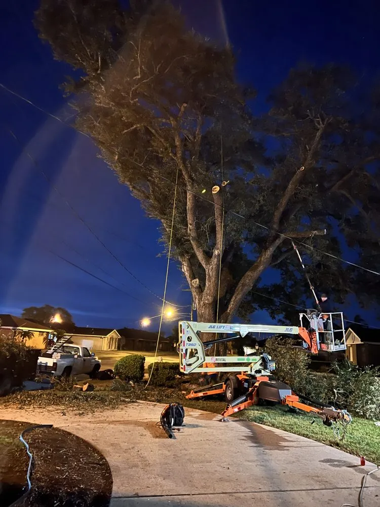 Expert yard cleanup service in Metairie, LA by Rouses Tree & Landscaping Services