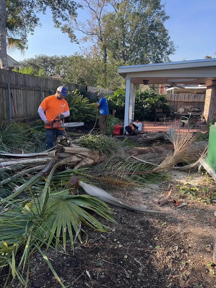 Local landscape installation with custom design across Metairie, LA - Rouses Tree & Landscaping Services