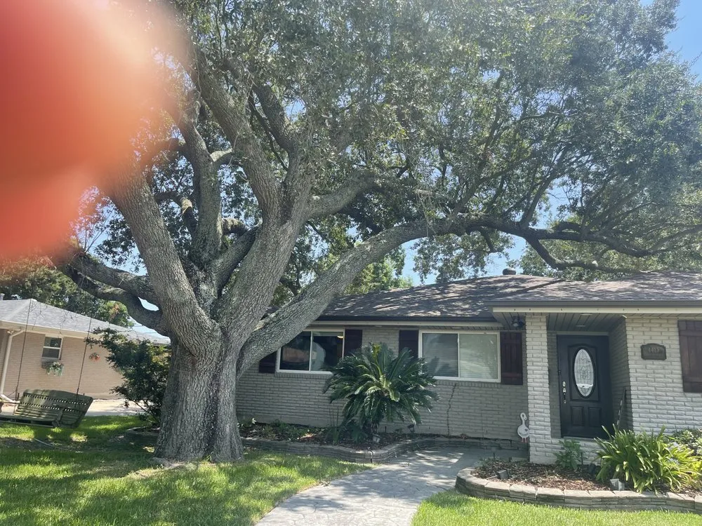 Professional landscape installation near you in Metairie, LA by Rouses Tree & Landscaping Services