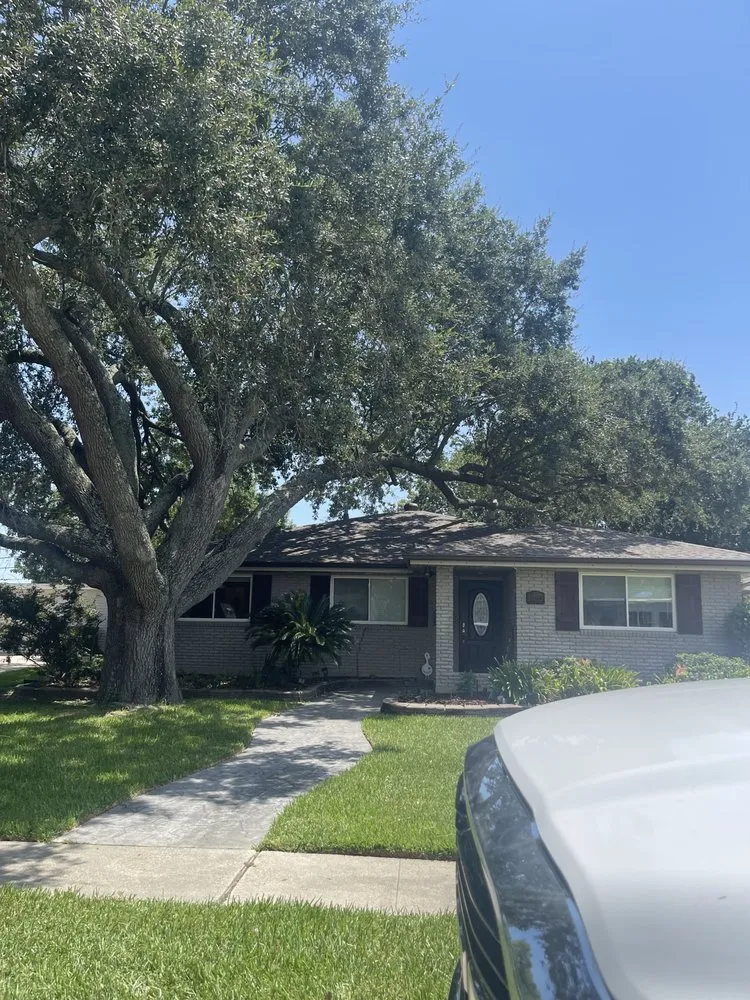 Affordable lawn care service in Metairie, LA - Rouses Tree & Landscaping Services