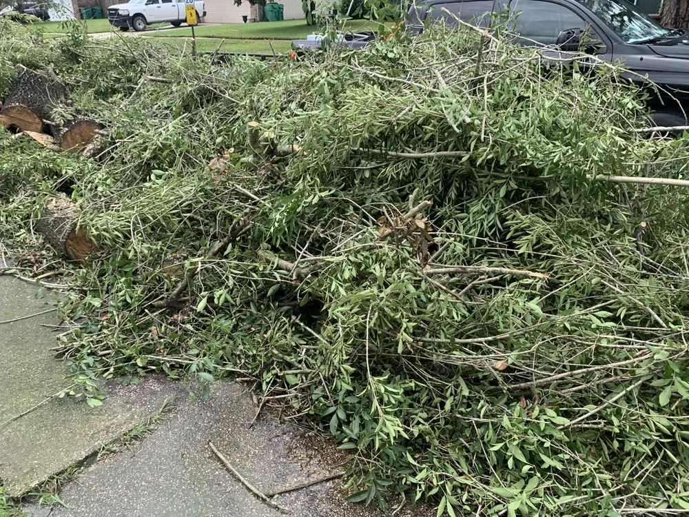 Expert garden landscaping experts serving Metairie, LA - Rouses Tree & Landscaping Services