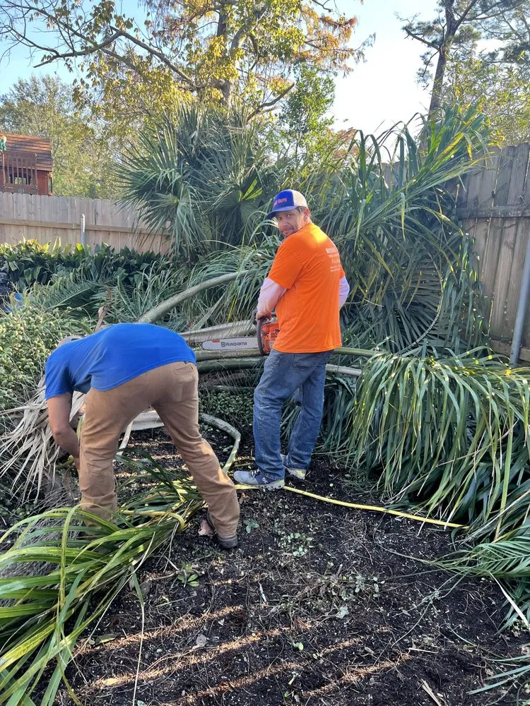 Custom yard maintenance with custom design in Metairie, LA by Rouses Tree & Landscaping Services