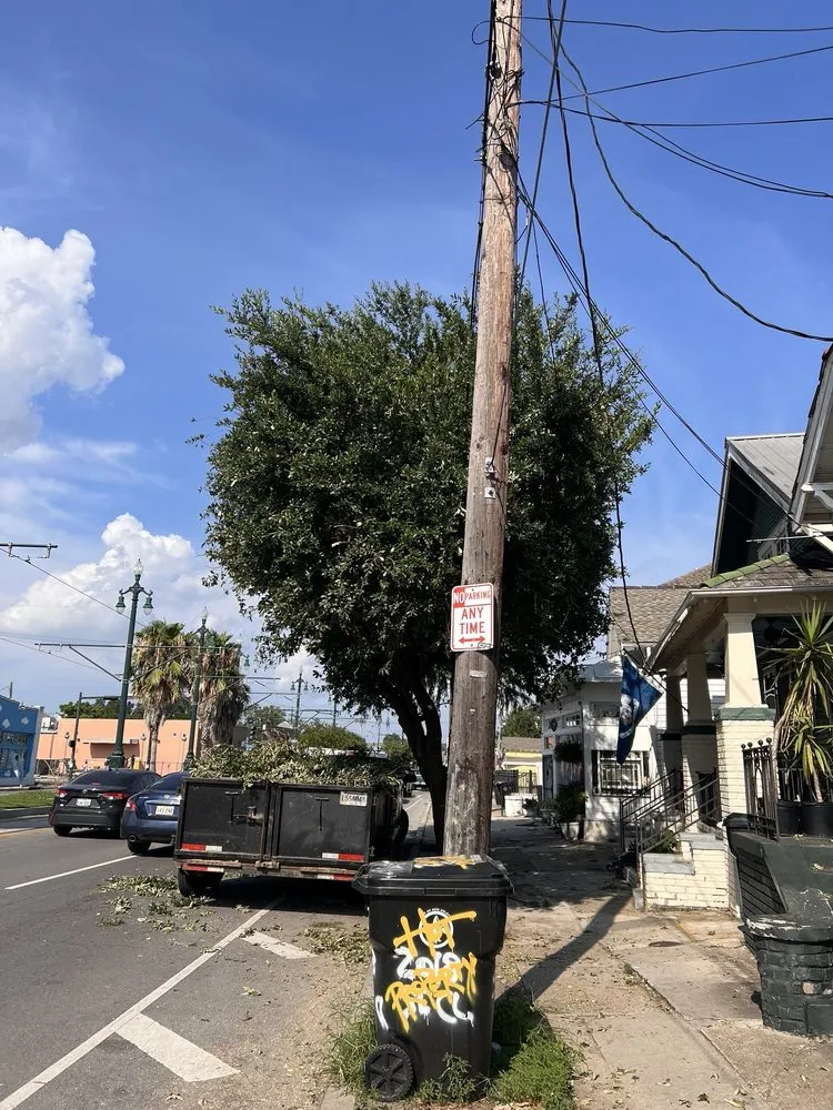 Trusted yard maintenance for homes across Metairie, LA - Rouses Tree & Landscaping Services