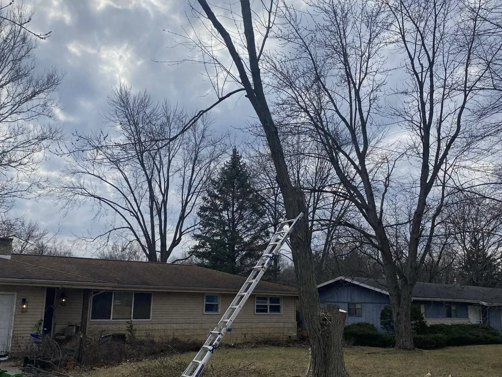 Professional landscaping services in Fort Wayne, IN - Roush Landscaping and Construction