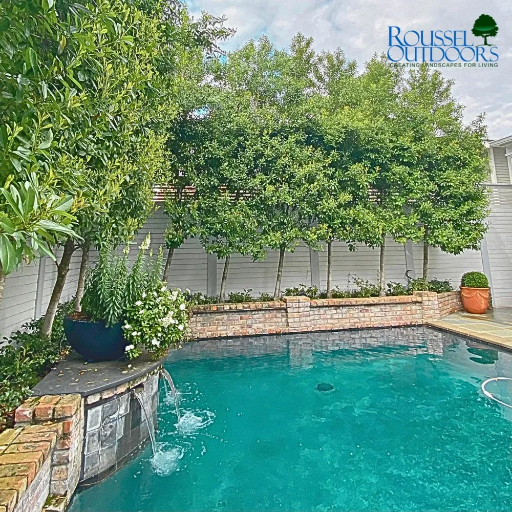 Reliable yard maintenance in Harahan, LA - Roussel Outdoors