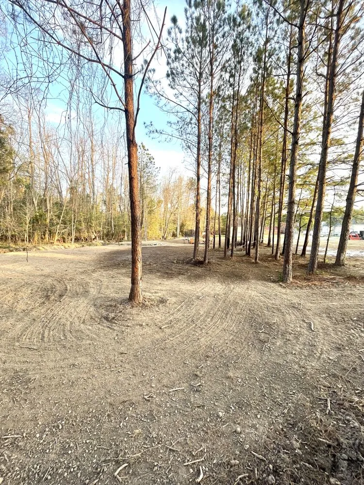 Expert residential landscaping in Smithfield, VA by Route 10 Yard Works