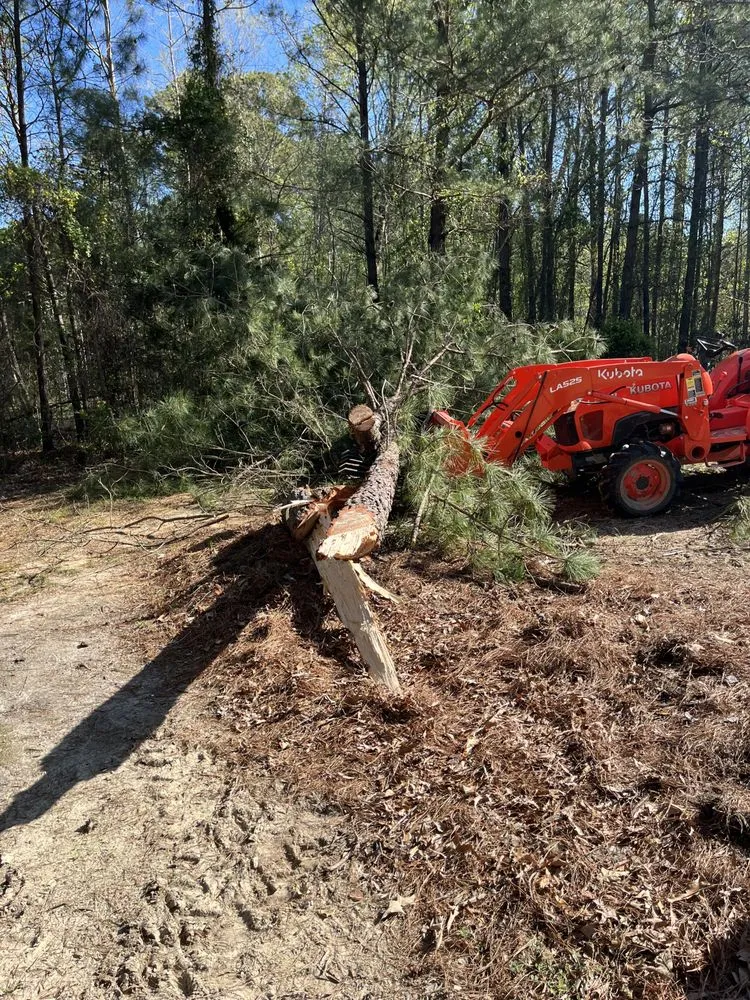 Local residential landscaping for year-round maintenance across Smithfield, VA - Route 10 Yard Works