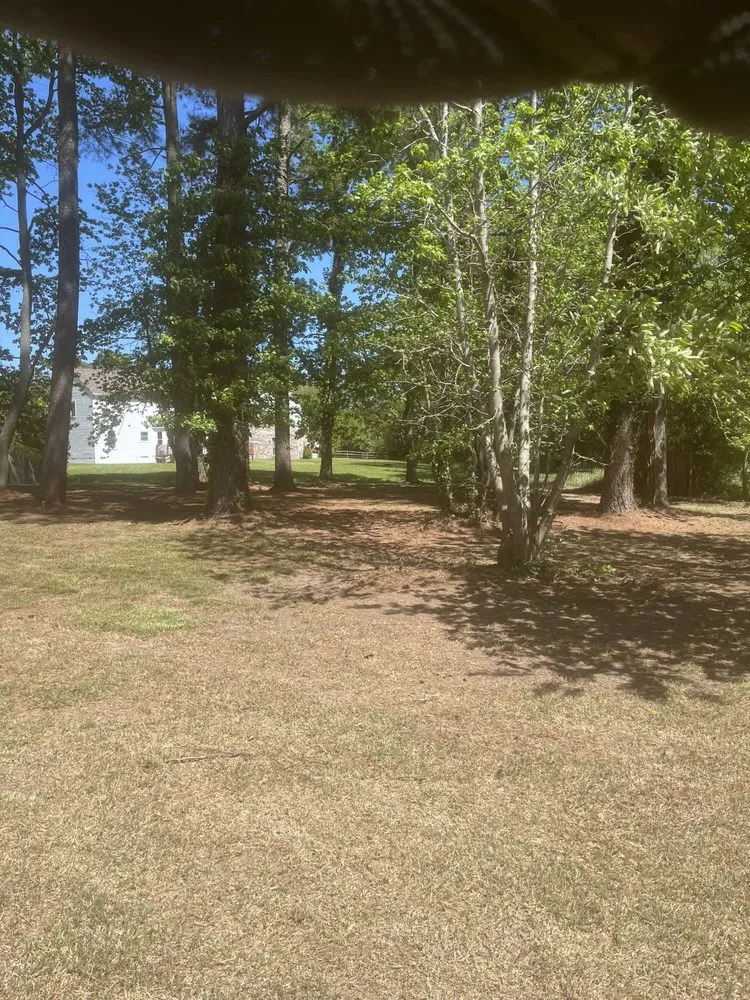 Affordable landscaping services experts serving Smithfield, VA - Route 10 Yard Works