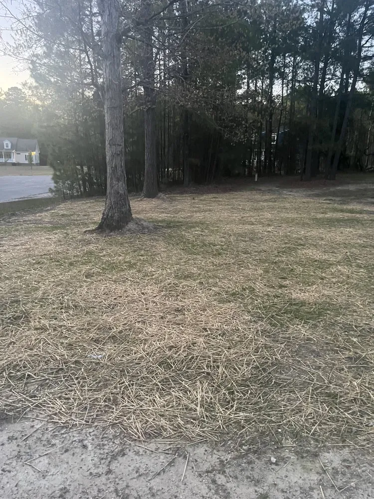 Top-rated outdoor landscaping for homes across Smithfield, VA - Route 10 Yard Works