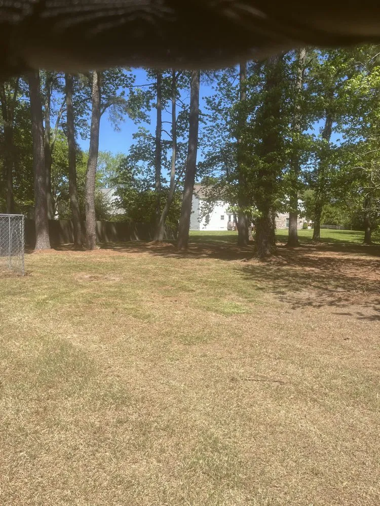 Affordable outdoor landscaping in Smithfield, VA by Route 10 Yard Works