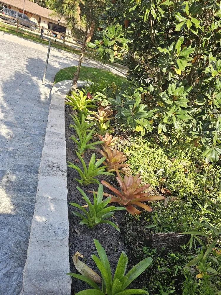 Top-rated landscaping services for year-round maintenance across Fort Myers, FL - Route 41 Lawn Care