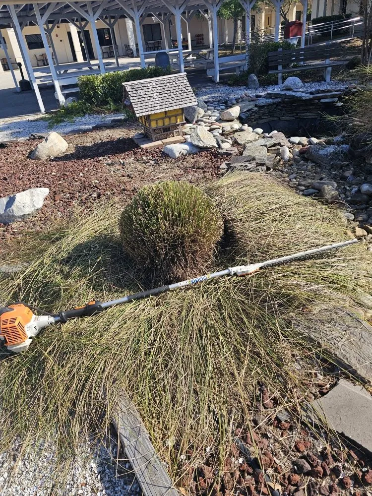 Custom lawn mowing service in Fort Myers, FL by Route 41 Lawn Care