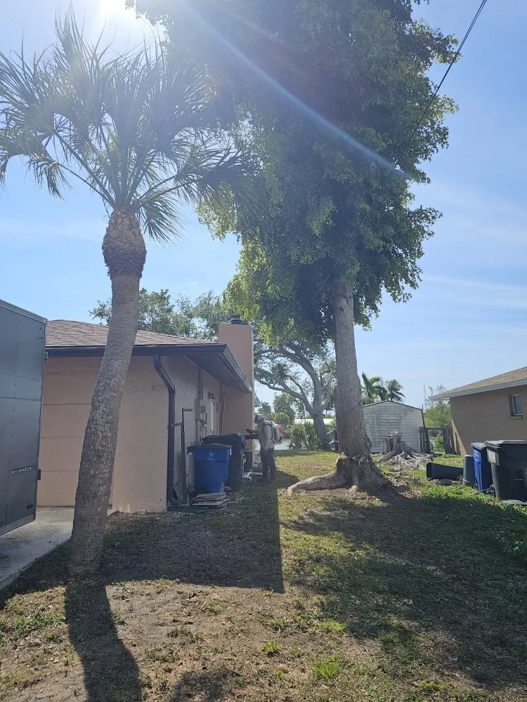 Reliable lawn care service for year-round maintenance in Fort Myers, FL by Route 41 Lawn Care