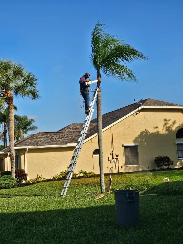 Trusted outdoor landscaping experts serving Fort Myers, FL - Route 41 Lawn Care
