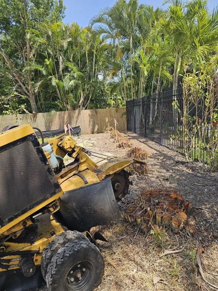 Reliable residential landscaping with custom design across Fort Myers, FL - Route 41 Lawn Care