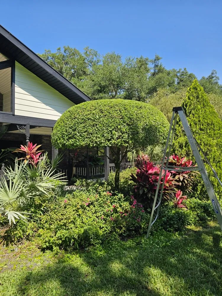 Expert landscaping services in Fort Myers, FL by Route 41 Lawn Care