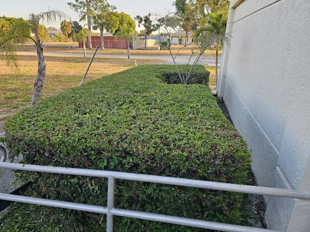 Professional residential landscaping for outdoor upgrades across Fort Myers, FL - Route 41 Lawn Care