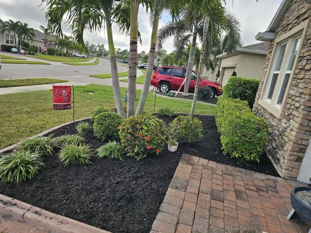 Affordable lawn care service in Fort Myers, FL by Route 41 Lawn Care
