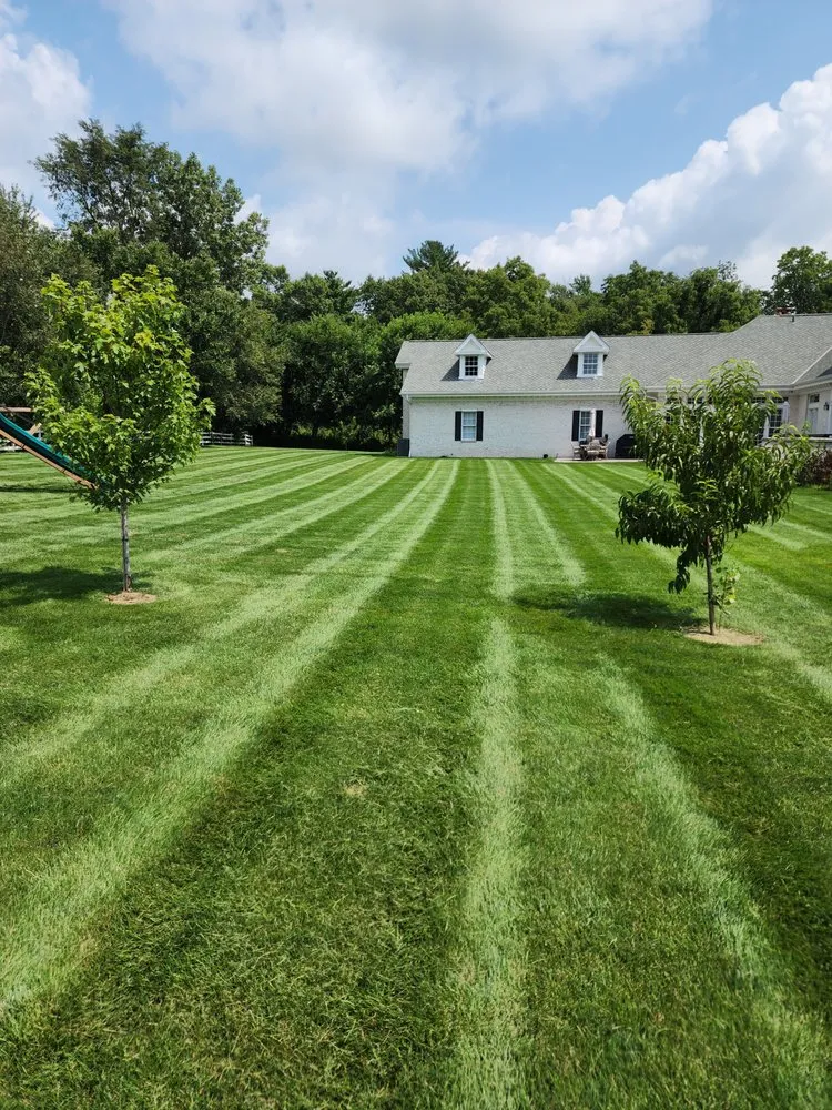 Custom residential landscaping in Yorkville, IL - Rovak Turf
