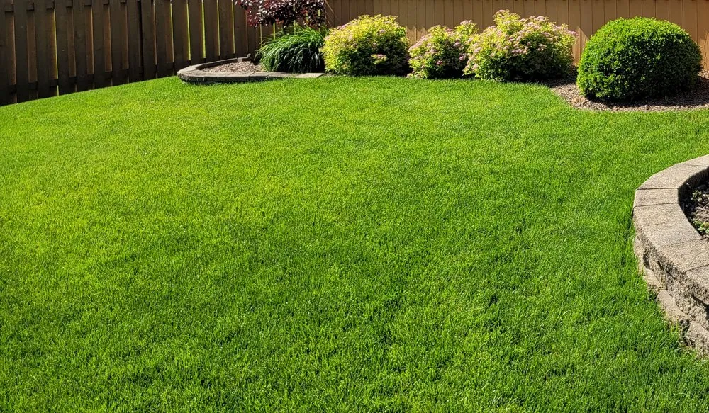 Top-rated landscape design experts serving Yorkville, IL - Rovak Turf