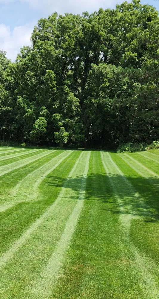 Affordable yard maintenance in Yorkville, IL by Rovak Turf