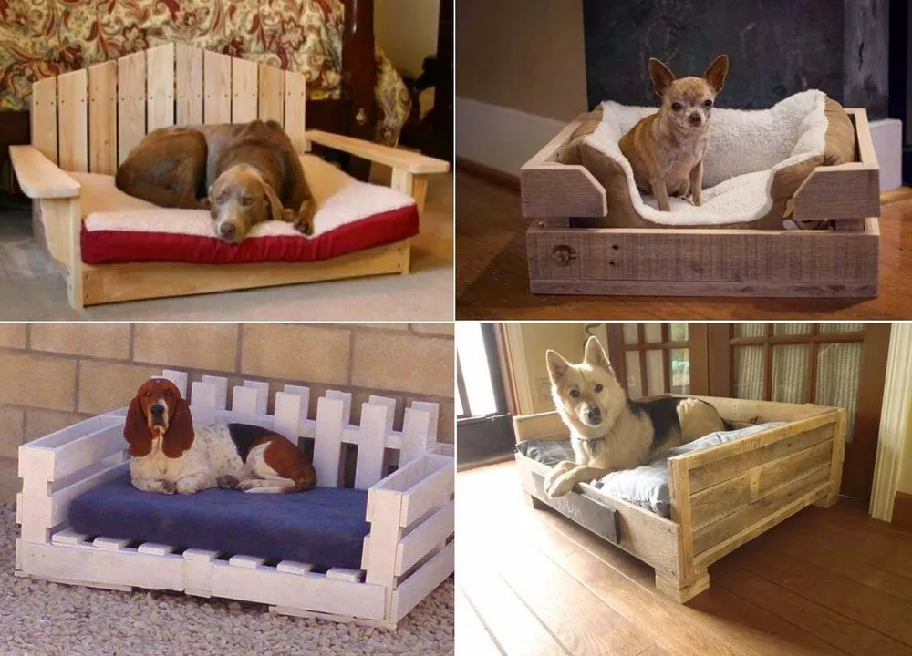 Expert lawn care service experts serving Bemidji, MN - Rover’s Home Landscaping And Pet Services