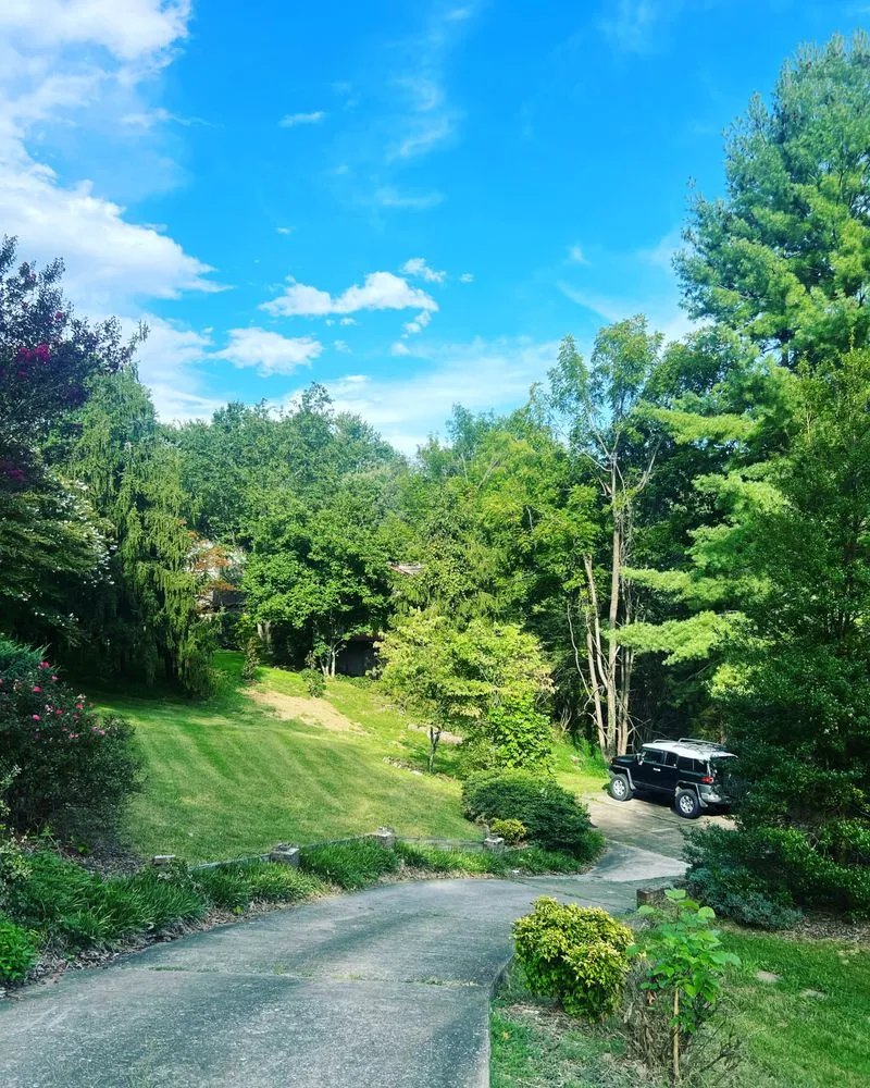 Expert yard cleanup service for year-round maintenance across Newport, TN - Rover’s LawnCare Services