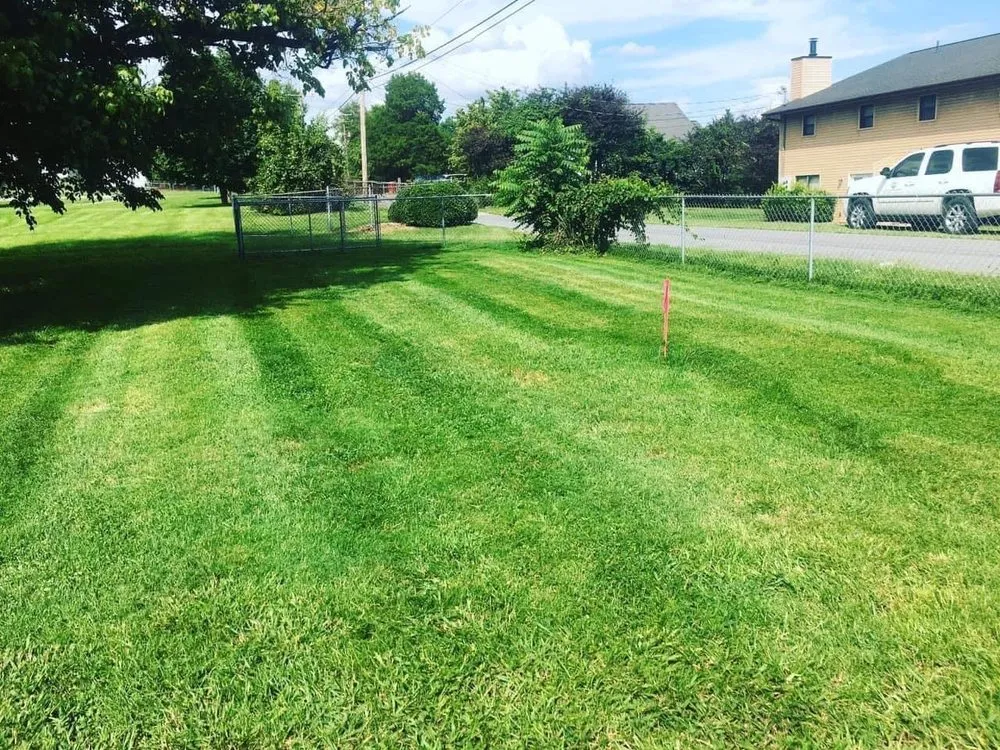 Trusted lawn care service experts serving Newport, TN - Rover’s LawnCare Services