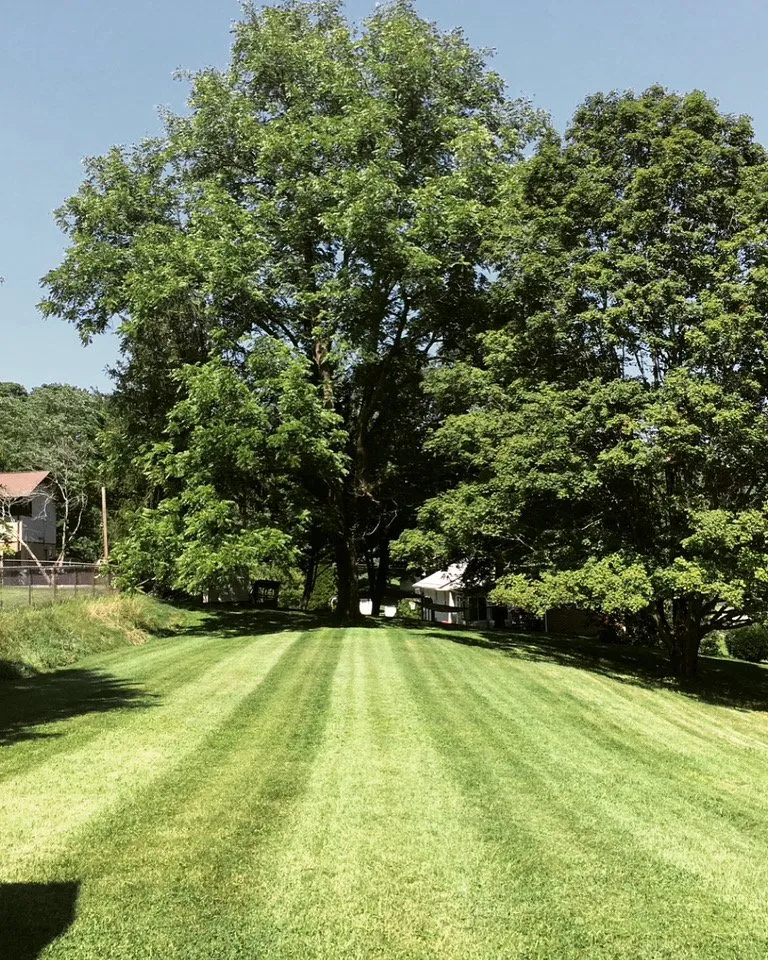 Affordable residential landscaping in Newport, TN by Rover’s LawnCare Services