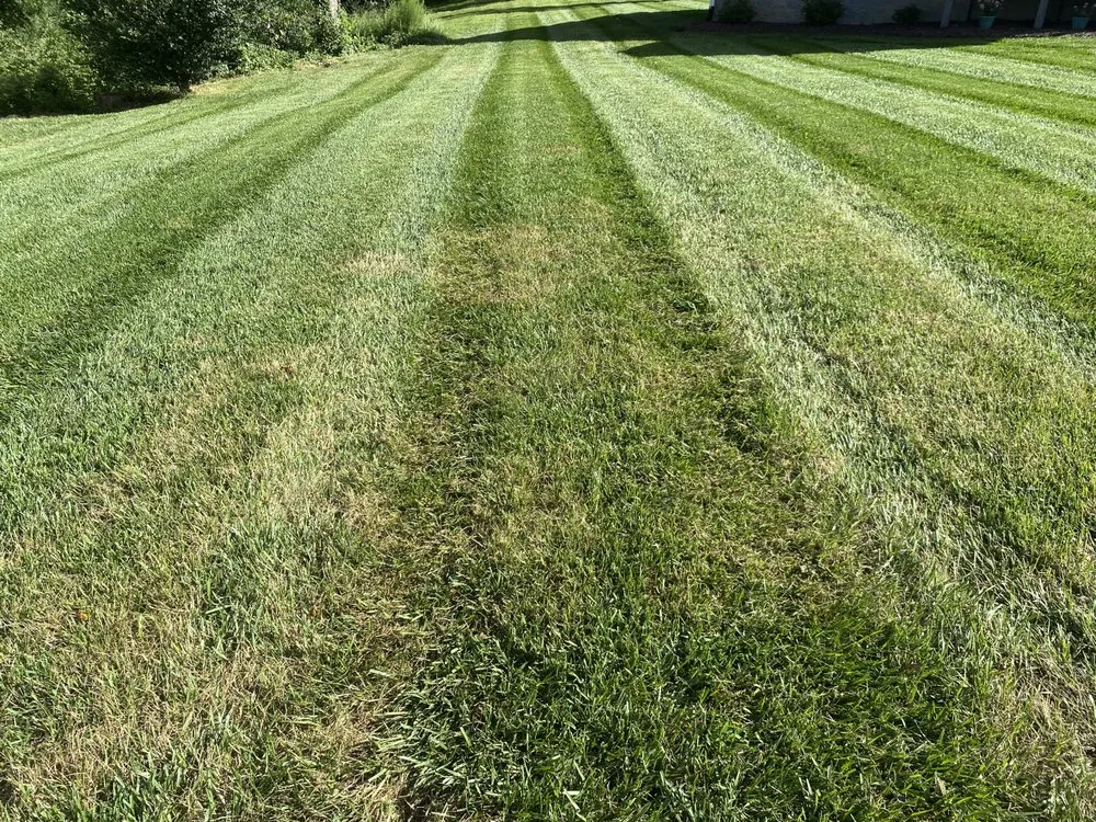 Affordable yard cleanup service for residential properties in Mooresville, NC by Rowan-Iredell Landscaping