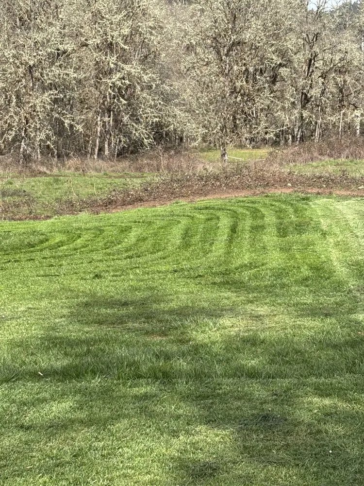 Custom lawn care service in Yoncalla, OR - Rowdy Landscaping