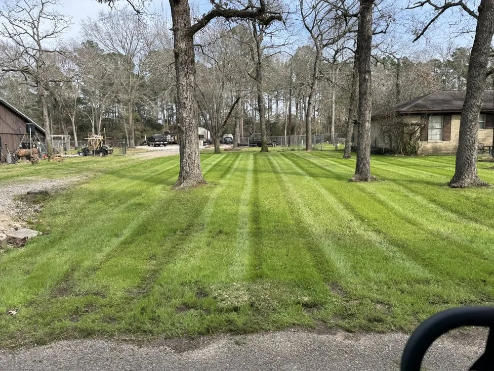 Reliable lawn mowing service for beautiful yards across Magnolia, TX - Rowdy’s Cuts and Stripes