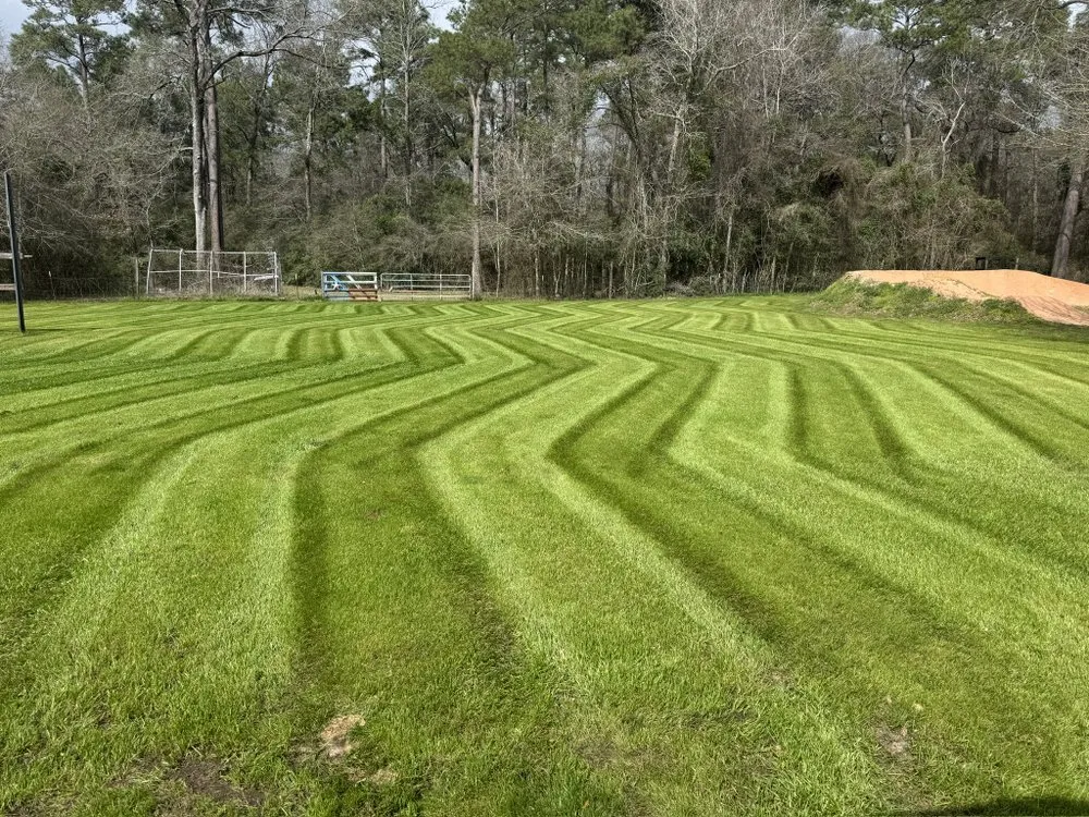 Top-rated residential landscaping for year-round maintenance in Magnolia, TX by Rowdy’s Cuts and Stripes