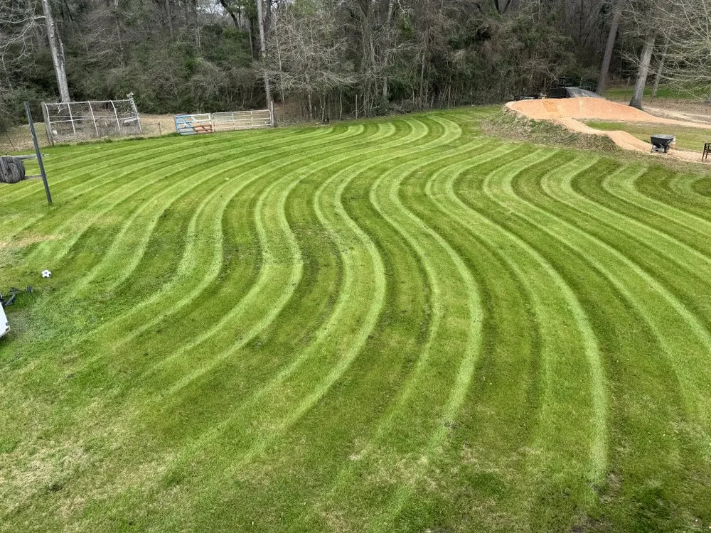 Affordable landscape design in Magnolia, TX - Rowdy’s Cuts and Stripes
