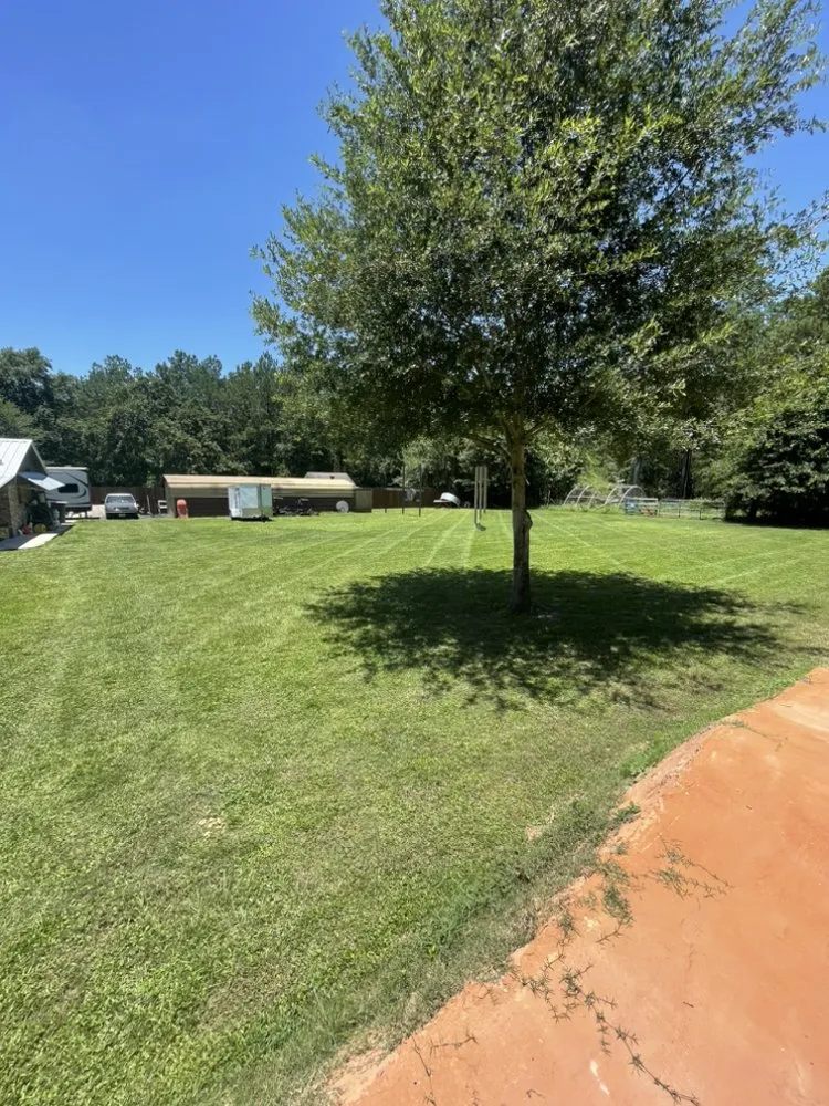 Affordable yard maintenance for beautiful yards across Magnolia, TX - Rowdy’s Cuts and Stripes