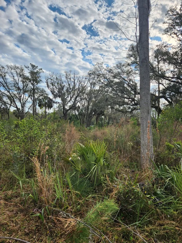 Professional landscaping services experts serving Townsend, GA - Rowe Land and Home