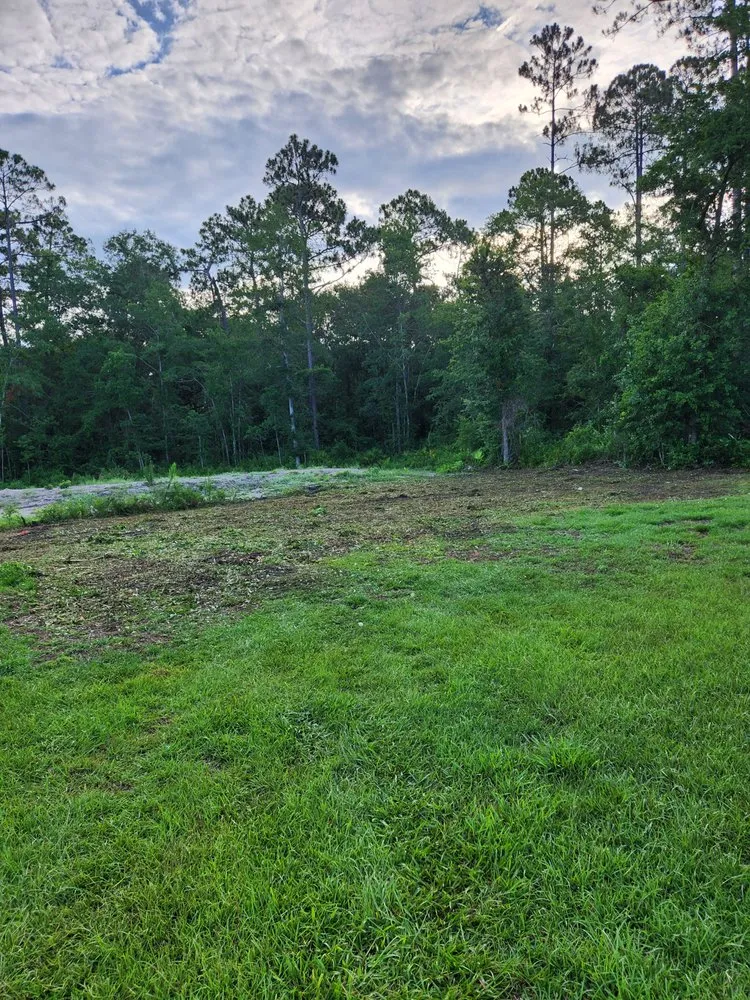 Expert yard maintenance in Townsend, GA by Rowe Land and Home