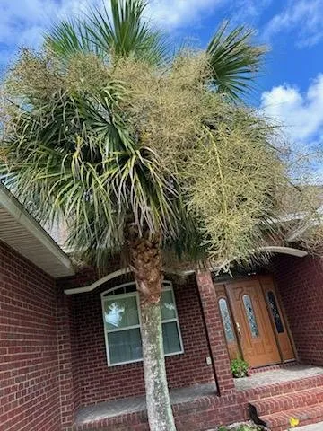 Custom yard cleanup service near you across Townsend, GA - Rowe Land and Home