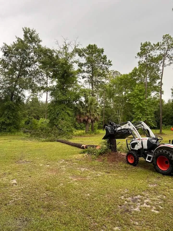 Expert landscape design for year-round maintenance across Townsend, GA - Rowe Land and Home