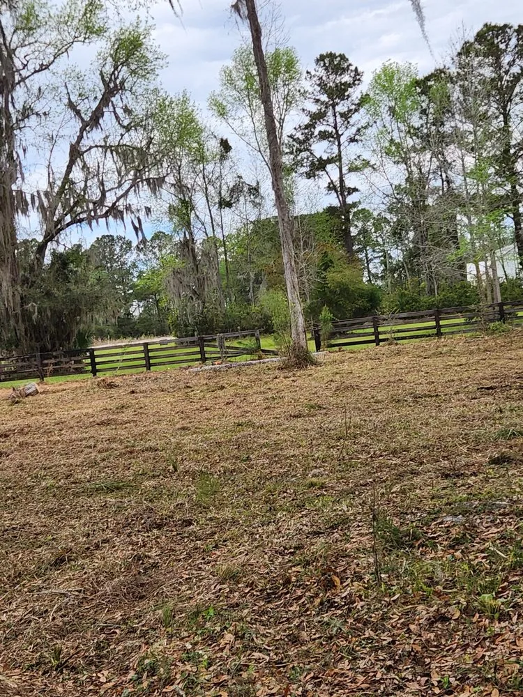 Local lawn care service experts serving Townsend, GA - Rowe Land and Home