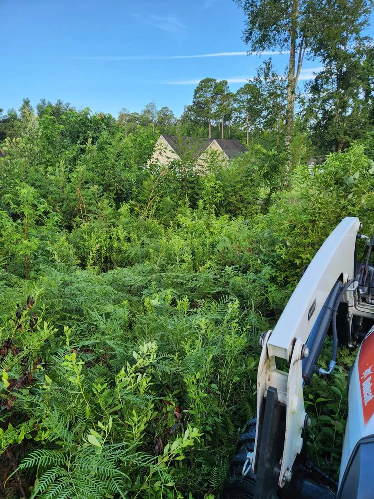 Professional outdoor landscaping for beautiful yards across Townsend, GA - Rowe Land and Home