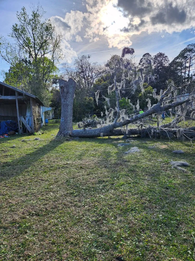 Reliable landscape installation for year-round maintenance across Townsend, GA - Rowe Land and Home