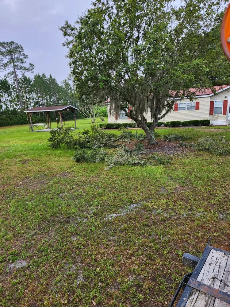 Expert landscape installation in Townsend, GA by Rowe Land and Home