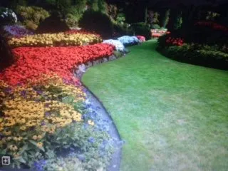 Rowe Landscape Installation