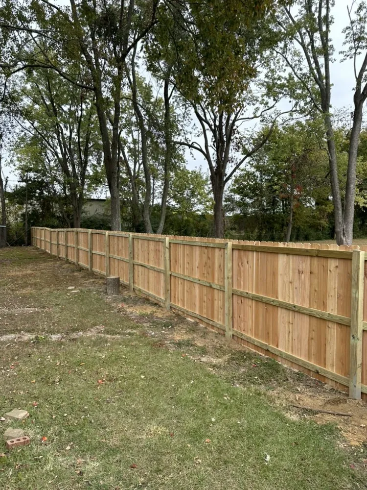 Affordable landscaping services experts serving Memphis, TN - Rowe lawncare